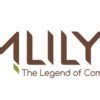 Mlily Mattress